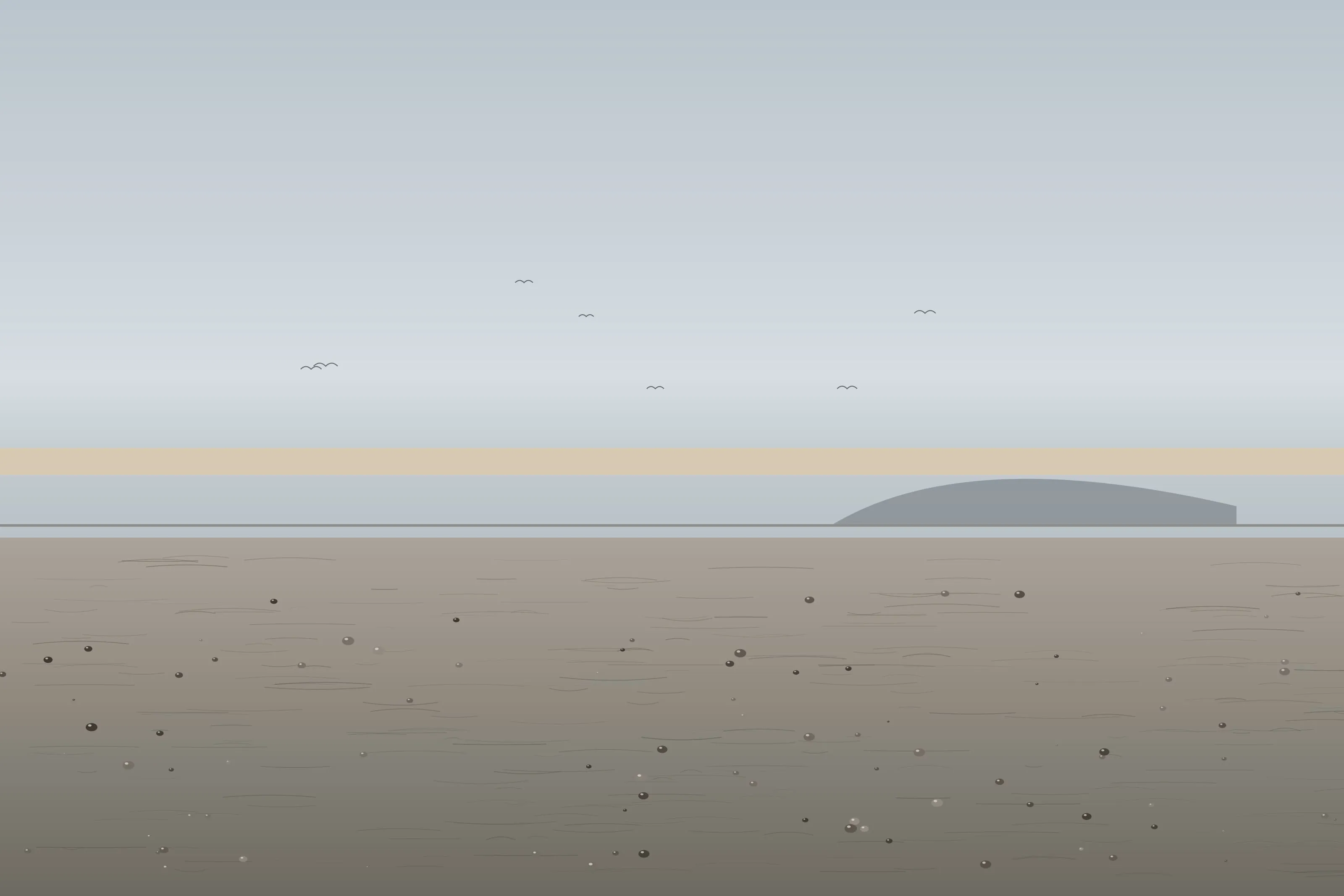 Sea fret hanging over the beach at dawn, fine ripples and scattered shells across the wet sand.
